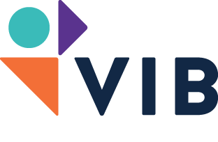 VIB Logo