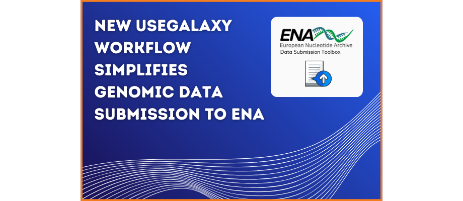 ena workflow banner